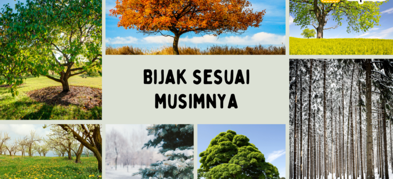 Bijak Sesuai Musimnya Bijak Sesuai Musimnya