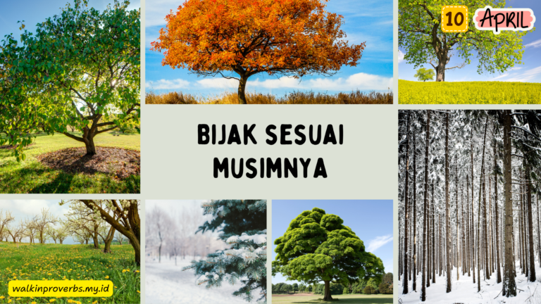 Bijak Sesuai Musimnya