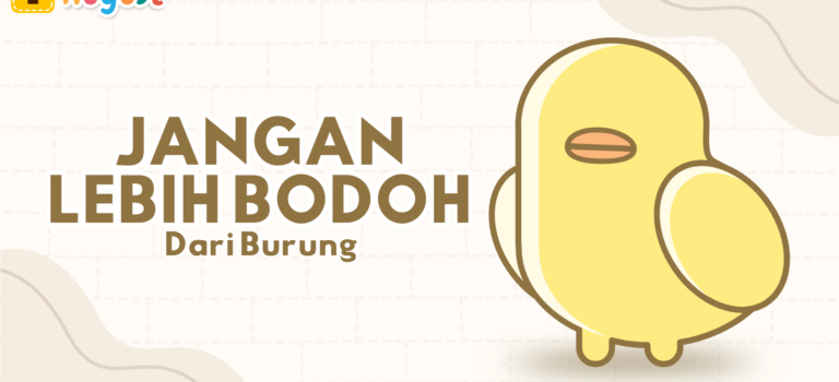 Jangan Lebih Bodoh dari Burung Jangan Lebih Bodoh dari Burung